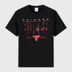 Ovo NBA Chicago Bulls Black T-Shirt