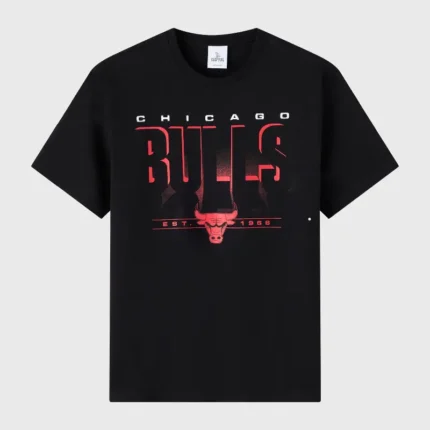 Ovo NBA Chicago Bulls Black T-Shirt