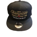 Ovo X Toronto Raptors Champion Hat